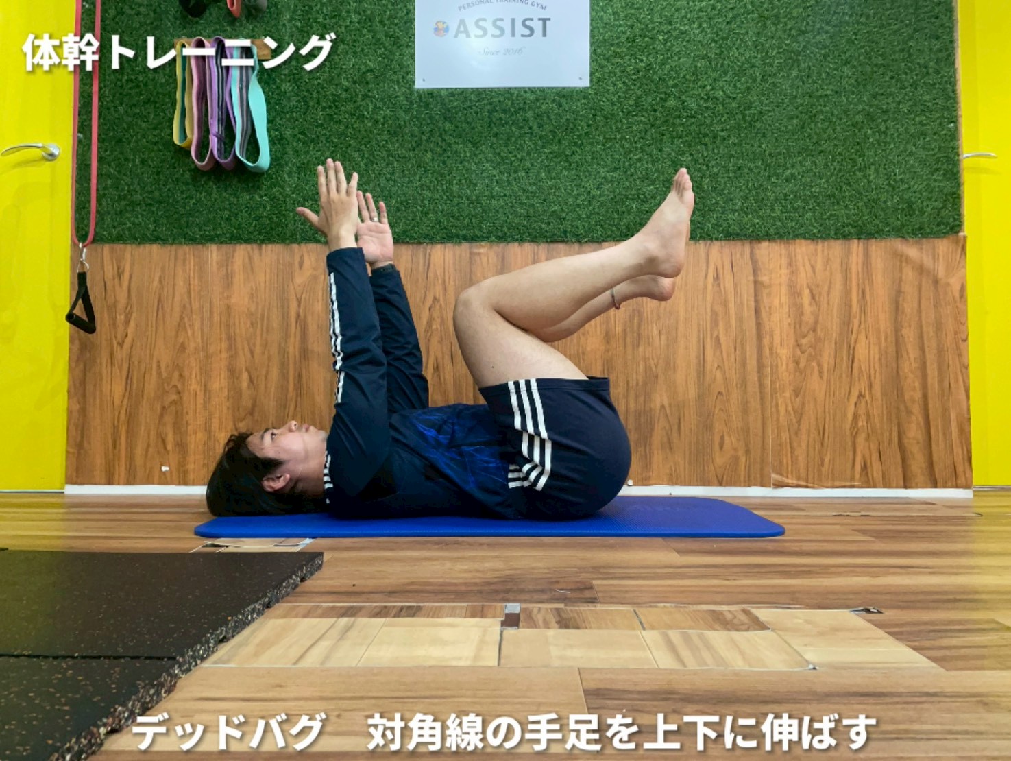 デッドバグ