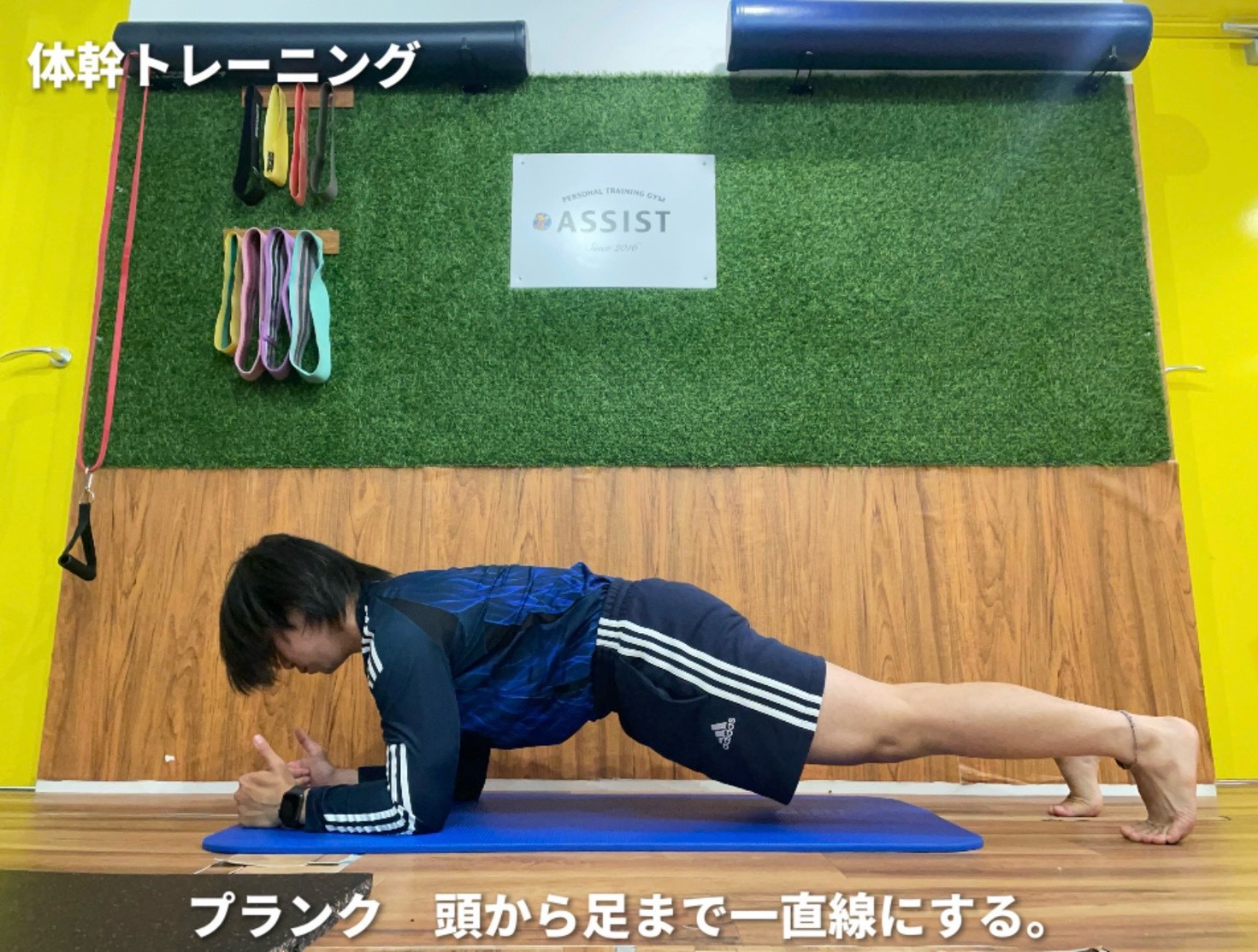 プランク